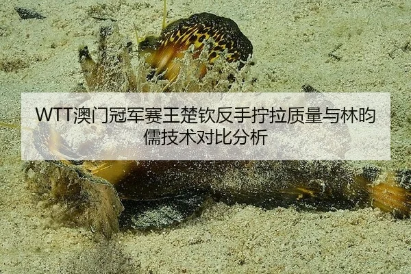 ao-men-guan-jun-sai-wang-chu-qin-fan-shou-ning-la-zhi-liang-yu-lin-yun-ru-ji-shu-dui-bi-fen-xi-3-957.jpg