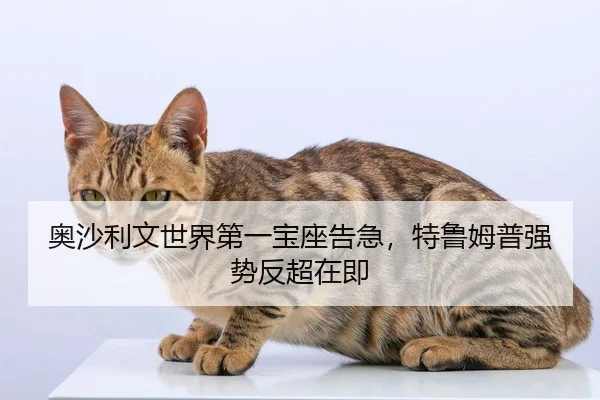 奥沙利文世界第一宝座告急，特鲁姆普强势反超在即