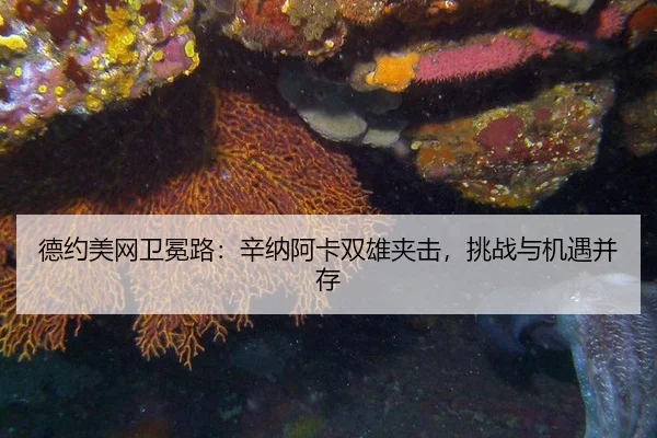 de-yue-mei-wang-wei-mian-lu-xin-na-a-ka-shuang-xiong-jia-ji-tiao-zhan-yu-ji-yu-bing-cun-2-272.jpg