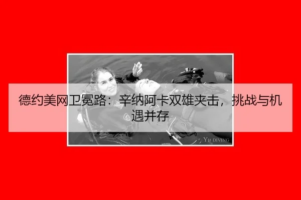 de-yue-mei-wang-wei-mian-lu-xin-na-a-ka-shuang-xiong-jia-ji-tiao-zhan-yu-ji-yu-bing-cun-3-406.jpg