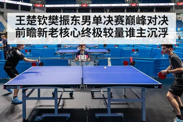 王楚钦樊振东男单决赛巅峰对决前瞻新老核心终极较量谁主沉浮